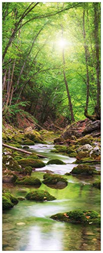 Wallario Acrylglasbild Fluss im Wald - 50 x 125 cm in Premium-Qualität: Brillante Farben, freischwebende Optik