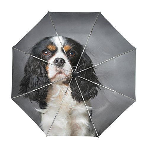 alaza Cavalier King Charles Spaniel Hund Regenschirm Reise Auto Öffnen Schließen UV-Schutz-windundurchlässiges Leichtes Regenschirm