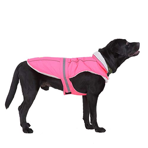 pawstrip Winter Warm Hundemantel Wasserdicht Winddicht Reflektierend Hundejacke für Kaltes Wetter Verstellbar Draussen Haustier Kleidung für Kleine Mittlere Große Hunde (Pink)