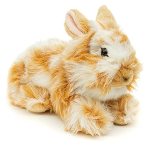 Uni-Toys - Löwenkopf-Kaninchen mit aufgestellten Ohren - liegend - Gold-weiß gescheckt - 23 cm (Höhe) - Plüsch-Hase - Plüschtier, Kuscheltier