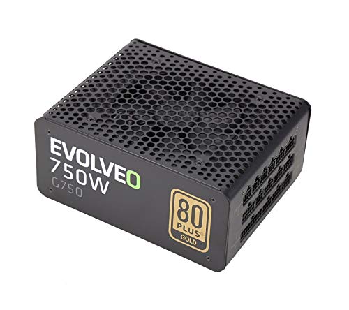 Evolveo Netzteil Case E-G750R