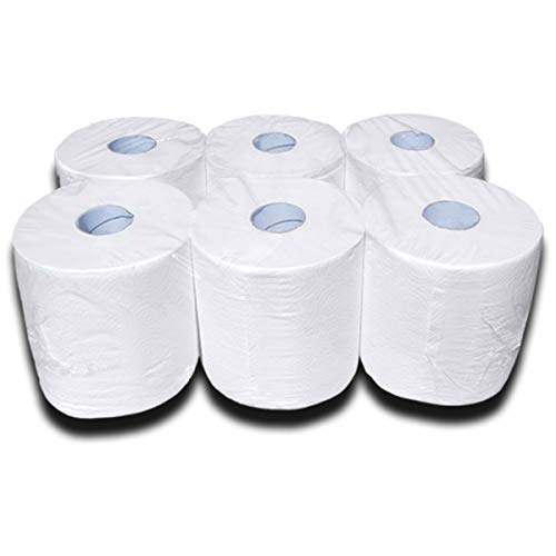 Papierhandtücher für Spender, Papier-Handtuchrollen Innenabwicklung, Küchenrollen Großpackung, Handtuchpapier, 2-lagig, 22x19 cm, hochweiß, super soft
