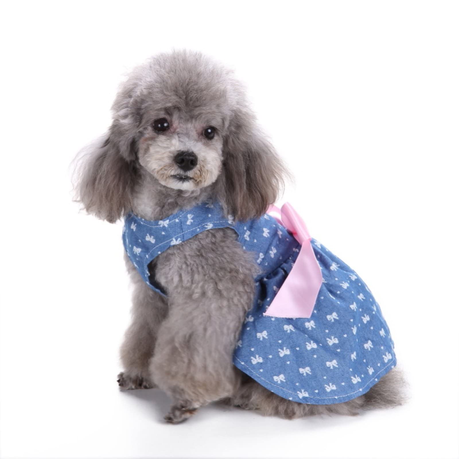 SUSOSU Haustier Kleidung Hunderock Wasserdruck Hundekleidung Rock Kleider für Kleine Mädchen Hunde Niedliche Haustierkleidung,Blue 1,S