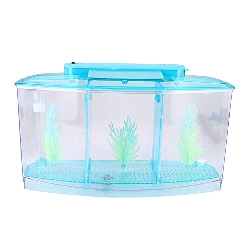 Pssopp Aquarium Isolation Box Acryl Fisch Isolation Box Fischzuchtbehälter Multifunktionale Zucht Inkubator Box Aquarium Ablaichkasten für Fischzucht Aquarium(blau)