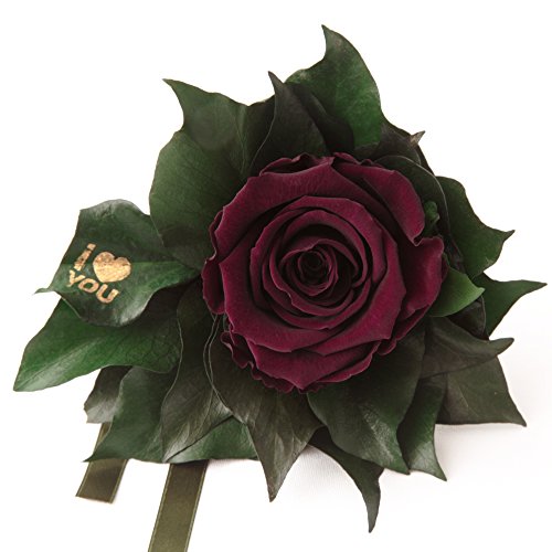 ROSEMARIE SCHULZ Heidelberg Ewige Rose konserviert in Rot mit Goldschrift I Love You
