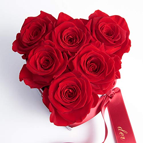 ROSEMARIE SCHULZ Heidelberg Rosen Box Herz 6 Infinity Blumen (Rot, 6 Rosen Für die Beste Mama der Welt)