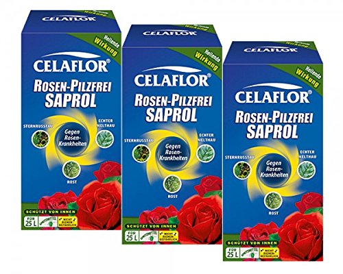 Celaflor Rosen-Pilzfrei Saprol - 3 x 250 ml