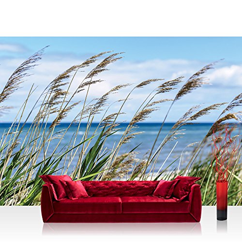 Fototapete 368x254 cm PREMIUM Wand Foto Tapete Wand Bild Papiertapete - Landschaft Tapete Meer Strand Schilf Pflanzen Himmel blau - no. 2201