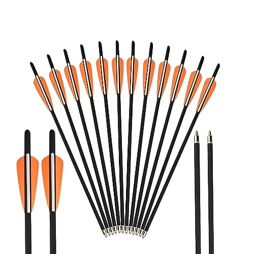 AMEYXGS 12pcs Mixed Carbon Pfeile 16" 17" 18" 20" 22"für Jagd oder Bogenschießen Praxis für Compound- und Recurve-Bögen Traditionelles Bogenschießen im Freien (17", Orange 2)