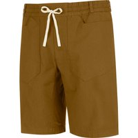 Wild Country Herren Flow Shorts, Green ivy, M