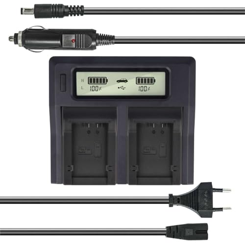 Dual Akku-Ladegerät kompatibel mit Panasonic DMW-BMB9E - mit USB-Anschluss, LCD-Display und Kfz-Ladekabel - Schnellladegerät