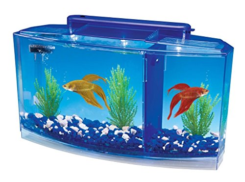 Penn-Plax Deluxe Triple Betta Schleife Aquarium Tank, 0.7-Gallon