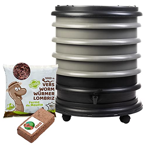 WORMbox | Wurmkomposter Wurmfarm Wurmkiste mit 4 Schalen Grau + 500g Kompostwürmer / 1000 STK + 1 Coco | 64 Liter | Regenwurmkomposter, Kompostwürmer produzieren Wurmhumus