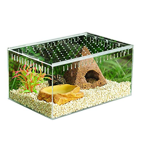 DZAY Transportboxen für Reptilien Amphibien Aquarien Transparente Reptilienzuchtbox,Reptilien Box Acryl Terrarien für Reptilien Amphibien,Zuchtbehälter Terrarium für Schlangenschildkröten