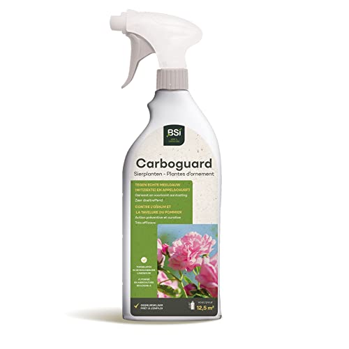 Carboguard RTU - Gegen Krankheiten/Dekorative Pflanzen (Rosen)