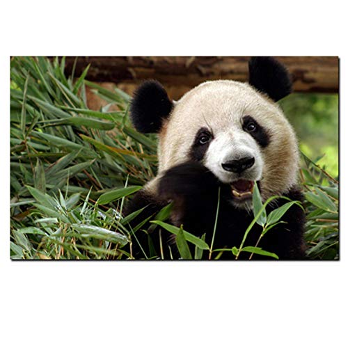 LXWWW Druck Wandkunst Tier Bambus Panda Bär Landschaft Leinwand Poster Moderne Wandbild Wohnzimmer Dekoration 60x80cm Rahmenlos