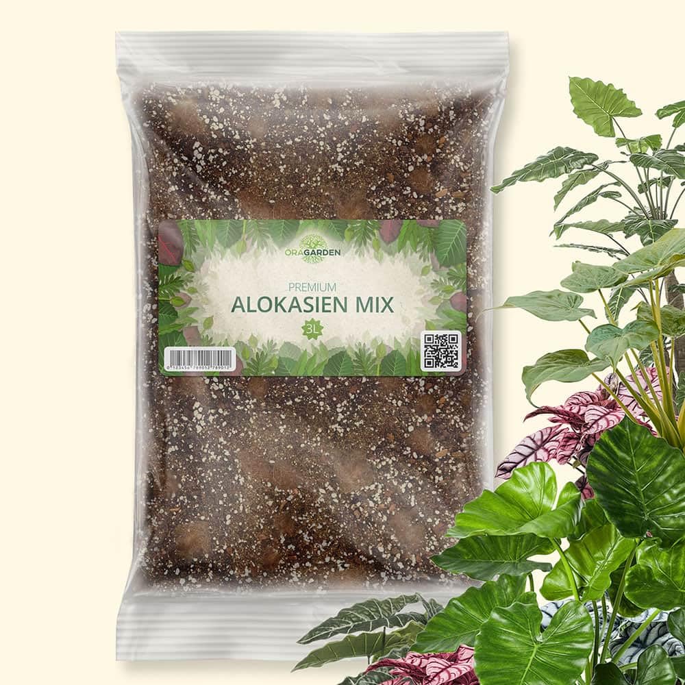 OraGarden Alokasien Alocasia Erde für Zimmerpflanzen - Premium Qualität (3L)