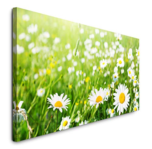 Paul Sinus Art GmbH Blühende Wiese 120x 50cm Panorama Leinwand Bild XXL Format Wandbilder Wohnzimmer Wohnung Deko Kunstdrucke