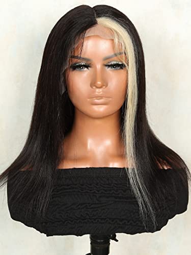 Human Lace Wigs 13*6*1 Lace Front Straight Human Hair Wig for Black Women ( Color : 150Density 13*6*1 , Size : 10 Inch )