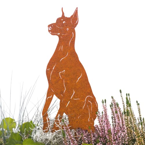 Gartenstecker Edelrost Hund Dobermann (kupiert) Handmade Germany, Höhe 30cm tolle gartendeko aus Rost-Metall, deko rostoptik, Rostfiguren Tiere, rostfiguren Garten, Rostdeko