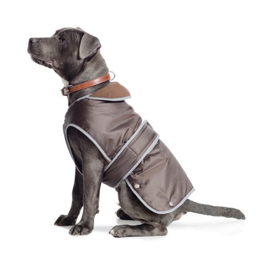 Ancol Muddy Paws Hundejacke und Brustschutz