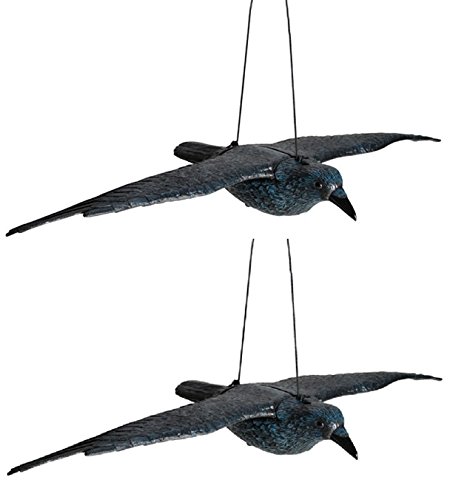 2 Stück Schwarzer Rabe fliegend Kunststoff Taubenschreck Taubenabwehr Vogelschreck (2)
