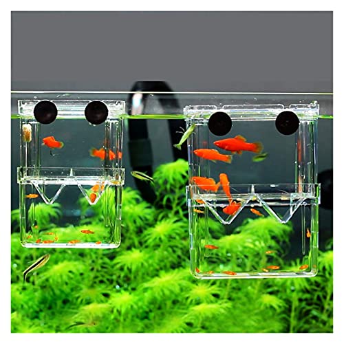 hanxiaoyishop Doppelstöckige durchsichtige Fischzucht-Isolationsbox für Aquarien, Brutkästen, Brutkästen, Fischhäuser, Fischhäuser (Farbe: transparent, Größe: klein)