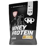 Mammut Nutrition Whey Protein Salted Peanut, 1000 g