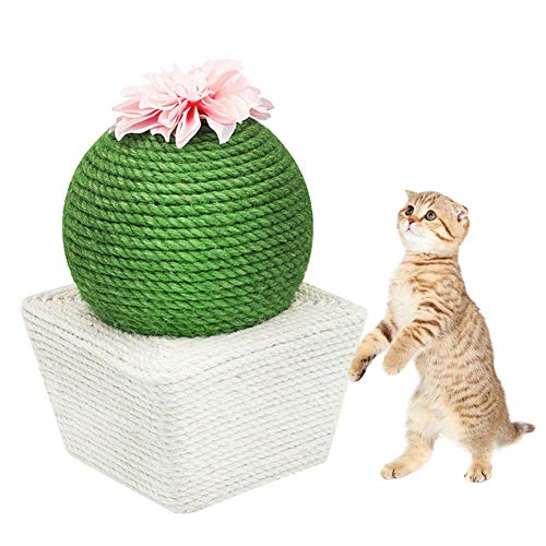Neckip Katze Ball, Katzenbälle, Katzen Kratzbrett, Spielzeug Bälle für Katzen, Kaktus Natürlich Sisal Kratzbaum, Katze Interaktiv Spielzeug Katze