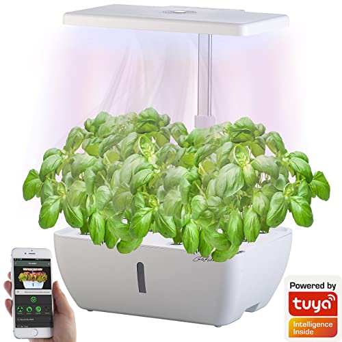 Carlo Milano LED-Pflanzenlampe Grow: Smartes WLAN-Anzuchtsystem für 12 Pflanzen, Wachstums-LEDs, App, 7 l (Pflanzenlampe Vollspektrum)