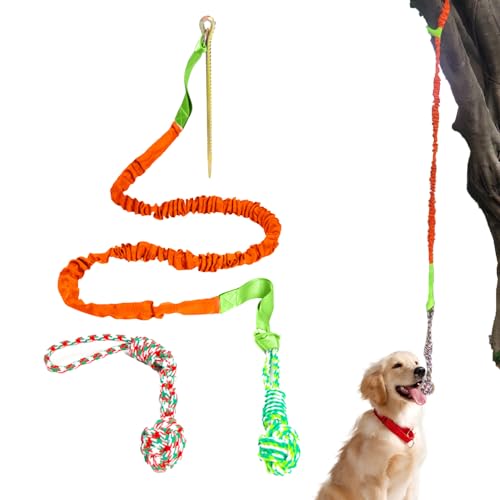 Seilspielzeug für aggressive Kauer - Robustes Spielzeug für Hunde,Unzerstörbares Zahnungs-Kauspielzeug für Welpen, Kauspielzeug für Hunde mit knirschenden Zähnen für mittelgroße und große Hunde Eastuy