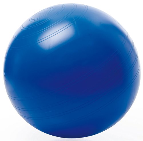 ABS-Power-Gymnastikball i. Ktn. 55cm silber(TOGU), Gymnastik-, Sitzbälle, Ballsitzkissen