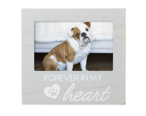 Pearhead Pet Forever In My Heart Gedenk-Bilderrahmen, Andenken für Haustierbesitzer, Gedenkgeschenk für Haustierliebhaber, 10,2 x 15,2 cm, Grau
