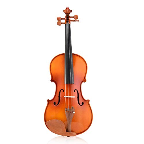 Violin Kit, 4/4 Spruce Wood Violine mit Koffer Bow String Kolophonium für Anfänger Geschenk(Tigermuster mit natürlicher Farbe)