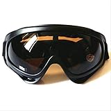 GJJDF Winter Winddichte Skibrille Schutzbrille Outdoor Sportbrille Skibrille Dunkelbraun