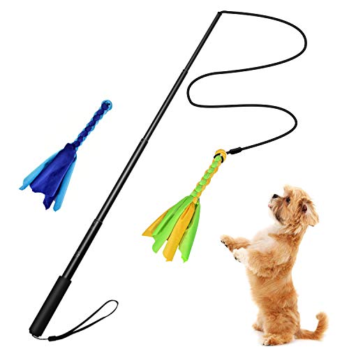 Sanzang Interaktives Hundespielzeug für den Außenbereich, ausziehbare Flirt-Stange, lustiges Jagdschwanz-Teaser und Trainingsgerät für Haustiere (schwarz-L)