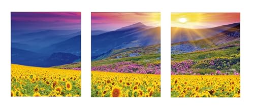 Weltbild Diamond Painting Sonnenblumen & Berge Triptychon, 3 Mal Leinwand auf Keilrahmen, je 30 x 40 cm, Kreativ-Set für ein funkelndes Kunstwerk aus bunten Diamanten