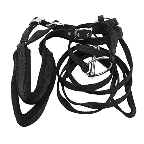 Dawafit Verstellbare Ausrüstung Halfter Pferd Zaumzeug mit Gebiss und Zügelgurt für Pferde Reitzubehör dick