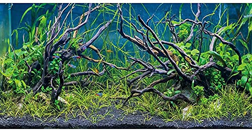 AWERT Hintergrund für tropische Aquarien, 182,9 x 61 cm, Flussbeet und See, Wasserpflanze, Unterwasserbaumzweig, Aquarium, Hintergrund aus Vinyl