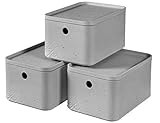 CURVER Aufbewahrungsbox S mit Deckel (4 L), 3er Set, Kunststoff, Hellgrau (Beton), Small