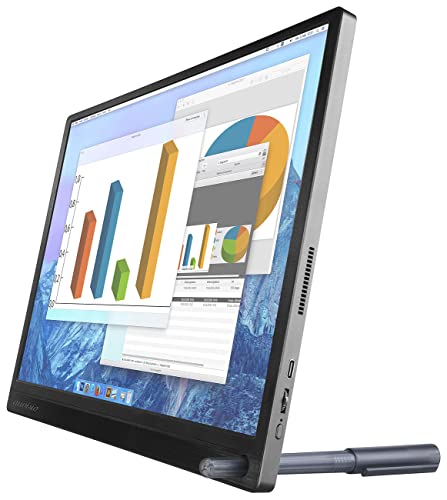 auvisio Laptop Monitor: Ultradünner Full-HD-IPS-Monitor, 39,6 cm (15,6"), USB-C, Mini-HDMI (Portabler Monitor HDMI)