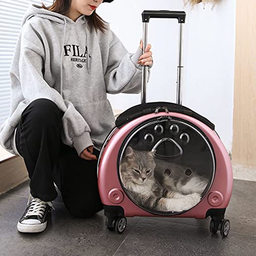 QZSM Katzenrucksack, Katzenrucksack Mit Fenster Transporttasche mit Rollen für Hunde und Katzen 1 Matten, Freely Breathe Travel Dog Carrier, Airline Approved Outdoor Cat Crate