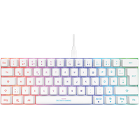 DELTACO Gaming Mechanische Mini Tastatur - Mechanical PC Gamer Keyboard mit RGB Tasten, 60% QWERTZ Layout deutsch, beleuchtet, Red Switches, Tastaturen Beleuchtung, mechanisch, ergonomisch, weiß