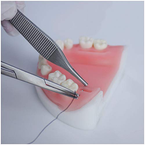 FHUILI Parodontalen Suture Practice-Modell - Oral Suture Simulatior - Suture Dentistry Kit Simulierte Dental Oral Suture Trainingsmodell - für Medizinische Skills Training-Tool
