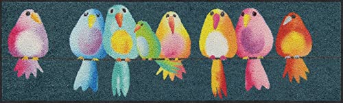 Salonloewe Fußmatte Rainbow Birds 030x100 Minimatte