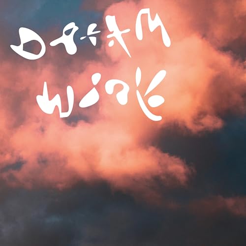 Dream Work (Ltd.White Vinyl) [Vinyl LP]