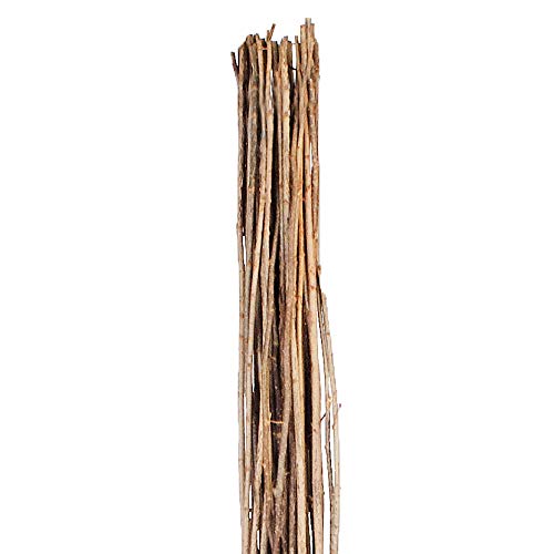 WEIDENPROFI Haselnussruten zum Verarbeiten, Flechtruten aus unbehandelter Hasel, Ø 1 - 2 cm, Länge ca. 160 - 180 cm - Verpackungseinheit: 50 Stück