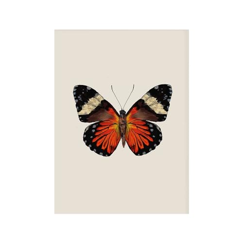 GIBOH Poster und Drucke im Vintage-Stil, Schmetterling, Insekt, Evolution, Retro-Wandkunst, Tier-Leinwandgemälde, nordische ästhetische Bilder für Heimdekoration, 50 x 70 cm x 1, ohne Rahmen