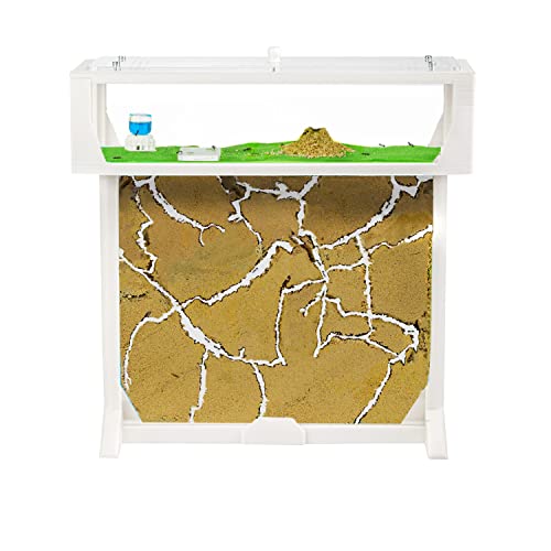 AntHouse - 3D Ameisenfarm aus Sand | Weiß T Kit 25x20x1,5 cm | Inklusive Ameisenkolonie