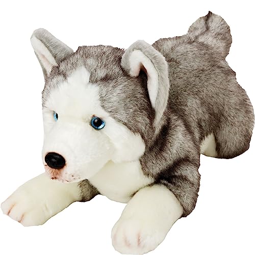 Yomiko 12057 - Suki Gifts Plüschtier Husky Hund, 36 cm